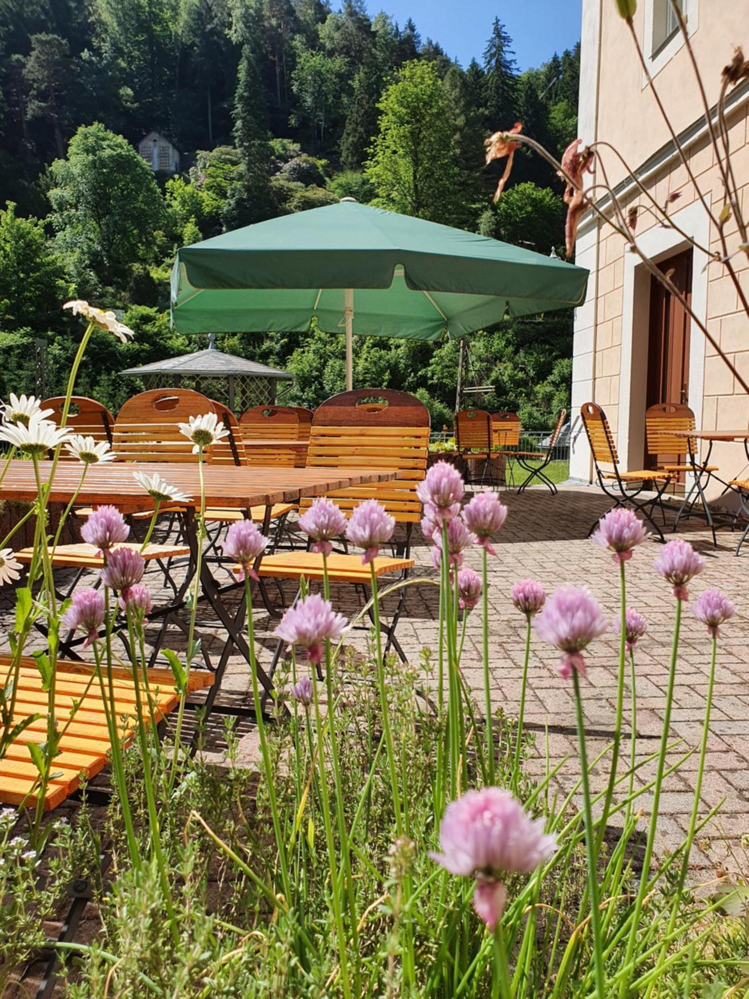 Hotel Garni Dekorahaus Bad Schandau Exterior foto